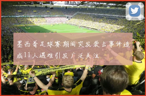 墨西哥足球赛期间突发袭击事件造成11人遇难引发广泛关注